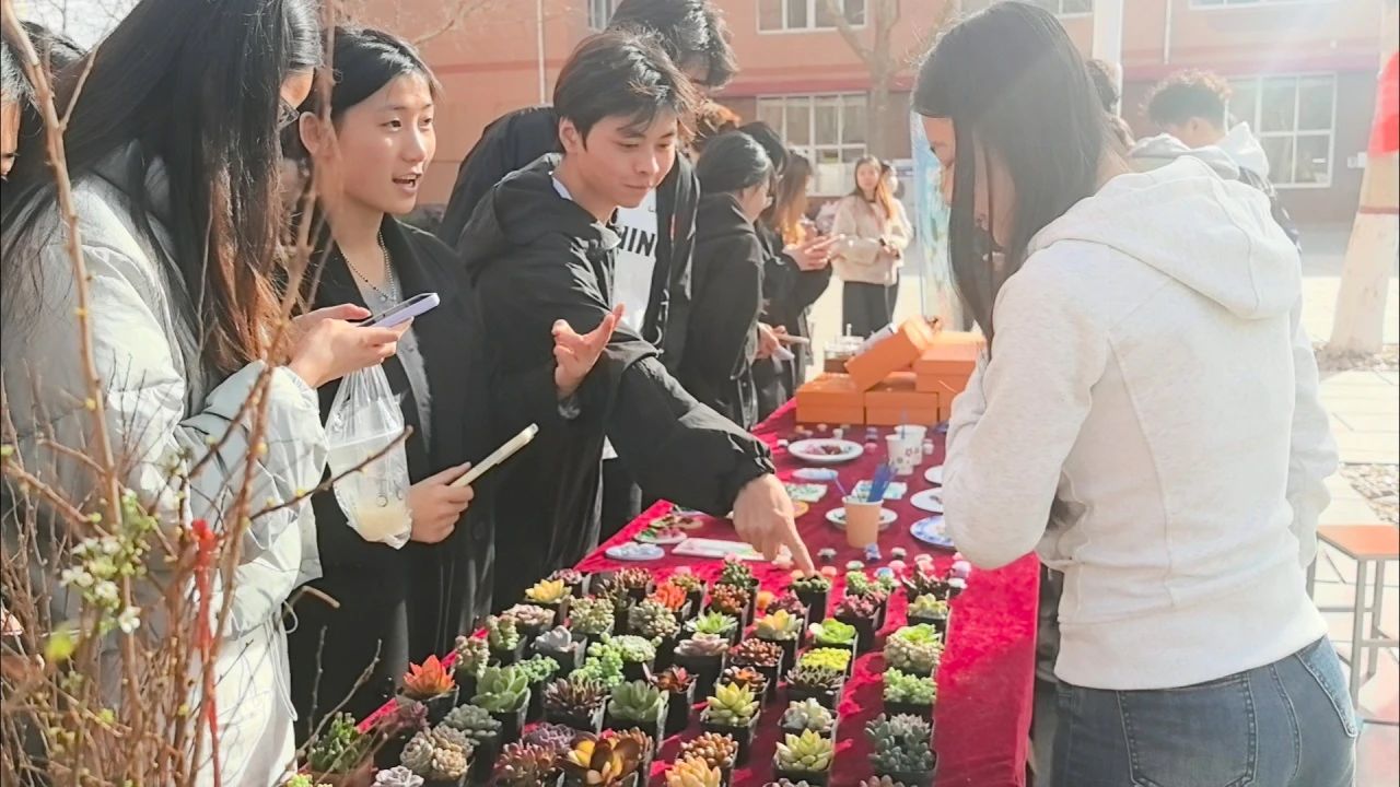 浇洒青春绿韵，育化教育新光