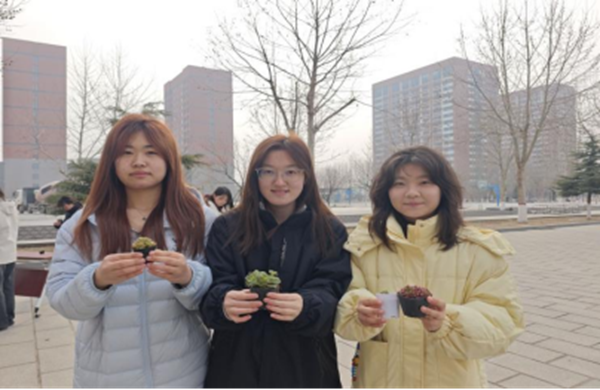 植绿护绿筑希望 同心共美校园春