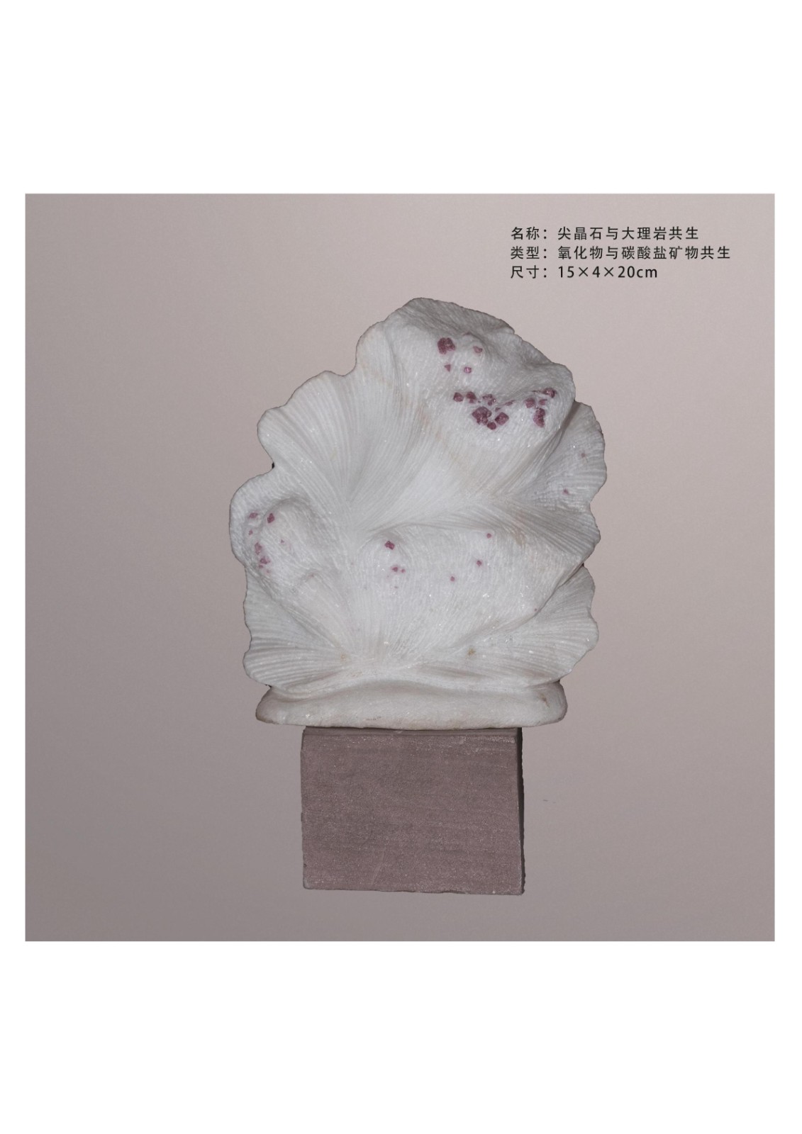简介