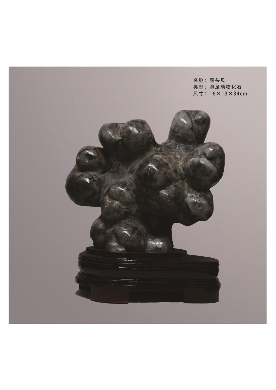 简介