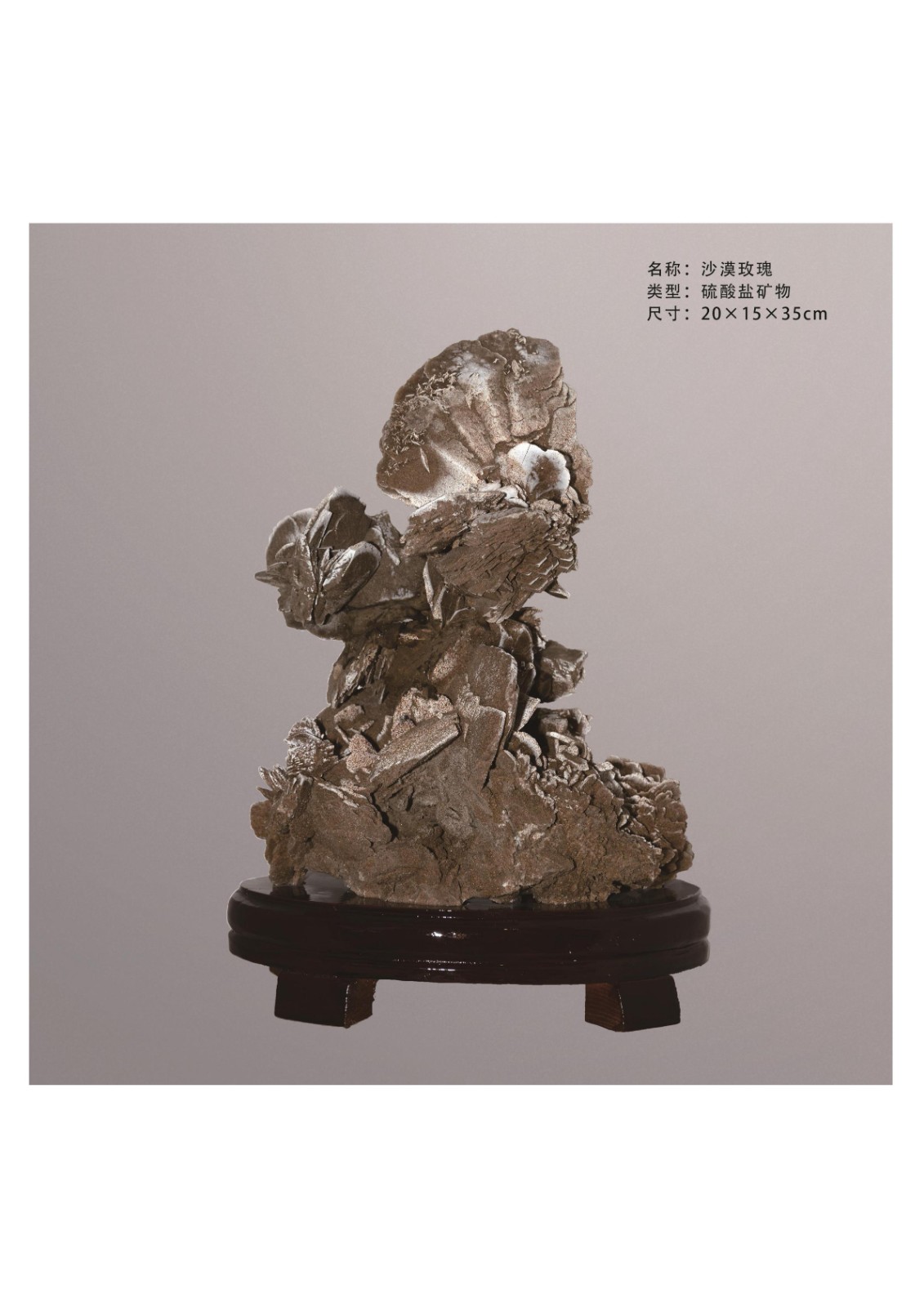 简介